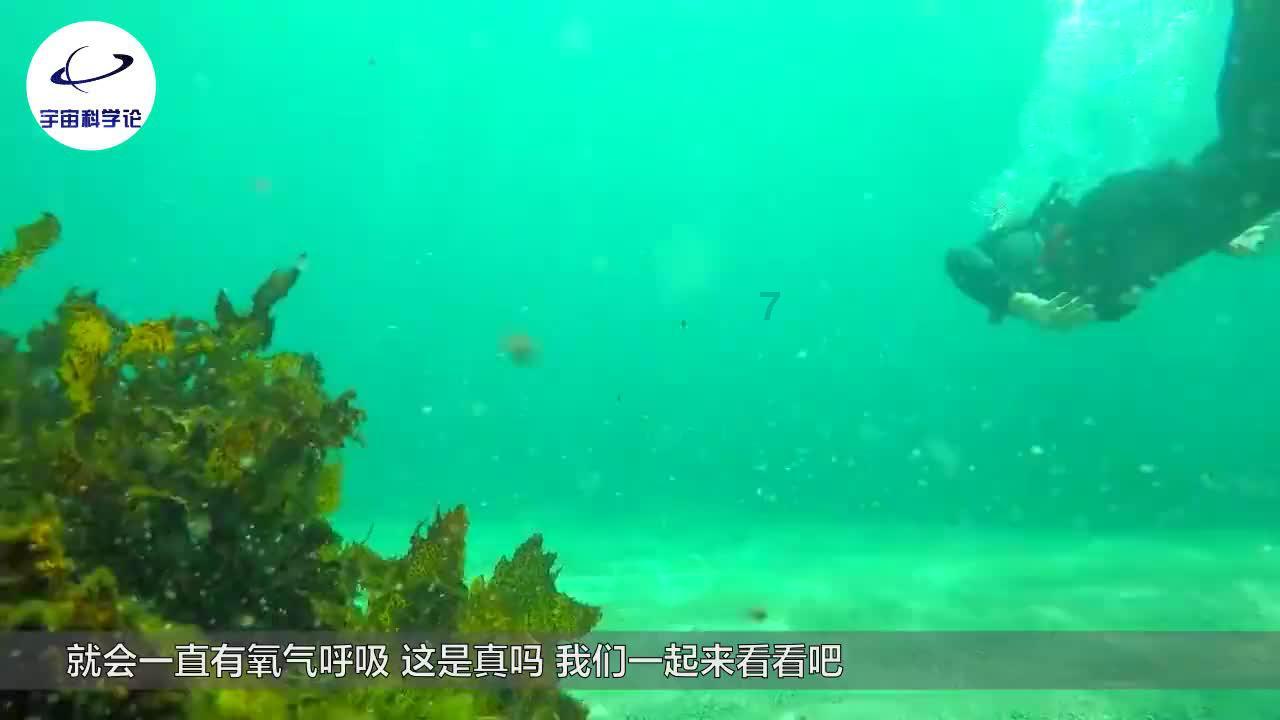西湖街道金槐村:“小积分”激活“大能量”,推进村容村貌绽新颜